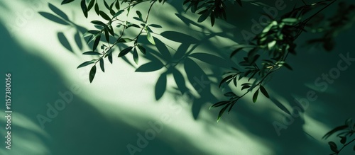 Green Background with Leaf Shadows Minimalist Aesthetic for Relaxation and Nature Inspired Copy Space in Close Up Detail photo