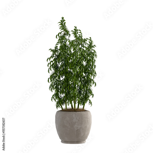 Green Plant Pot on White Background 3D Render