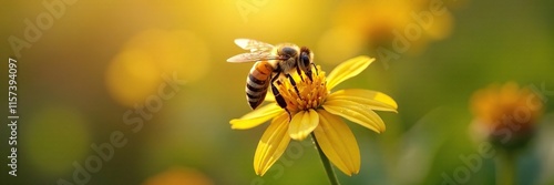 Wallpaper Mural Bee collecting nectar from Tilia cordata flowers in morning light, bees, pollination Torontodigital.ca