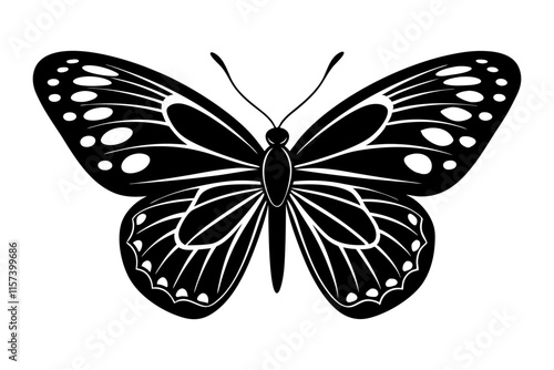 Black and white butterfly silhouette