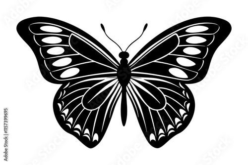 Black and white butterfly