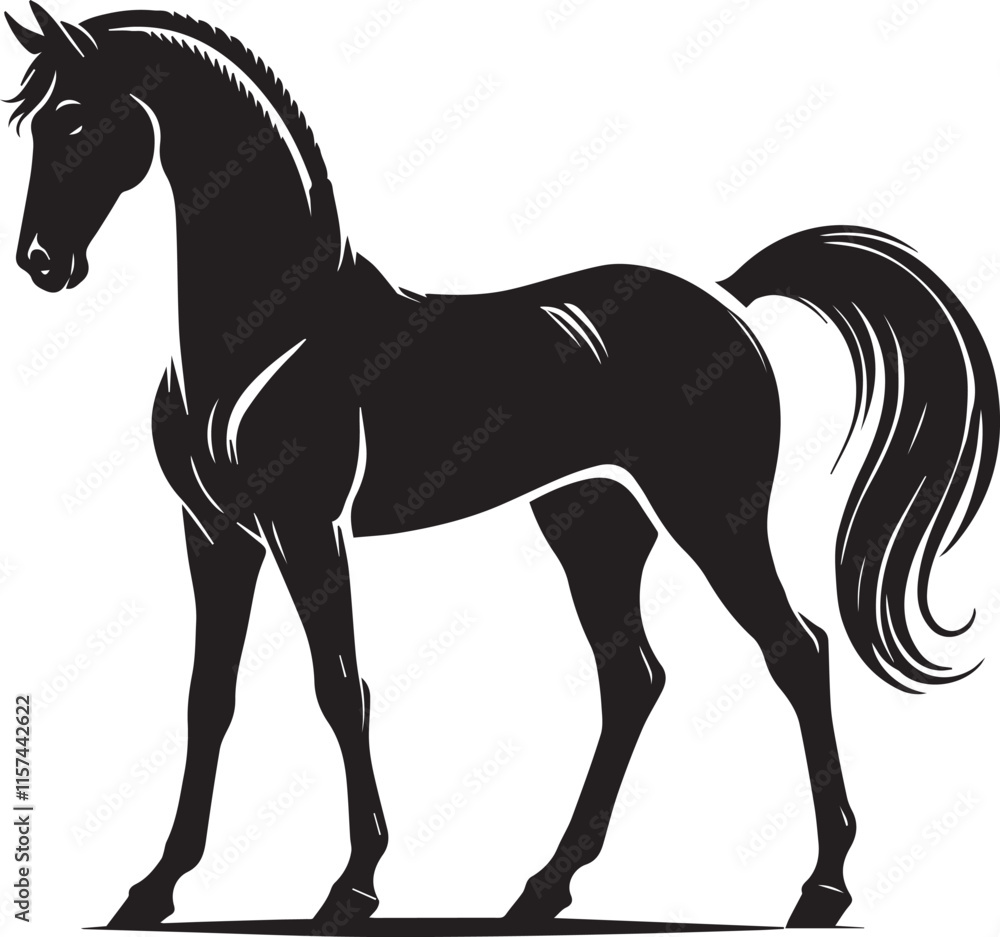 Obraz premium Horse silhouette isolated on white