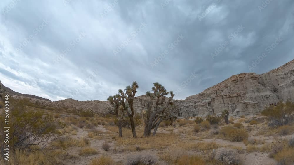 Timelapse of dramatic clouds moving on sandstone formations with Joshua tree Timelapse of dramatic clouds moving on sandstone formations with Joshua tree