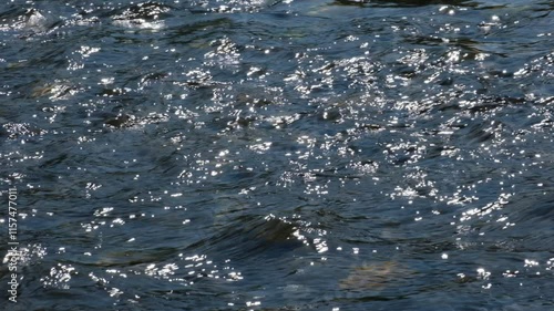 Wallpaper Mural Mountain stream water  splashes, rapids and spring water flows down the riverbed. Torontodigital.ca