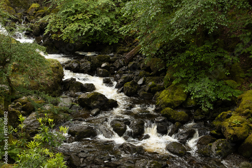 River flowing through woodland in Lake District
