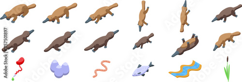 Duck-billed platypus icons set. Set of isometric platypus icons showcasing various poses, diet, and natural habitat elements