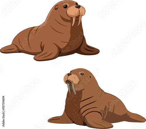 Two walruses resting on white background