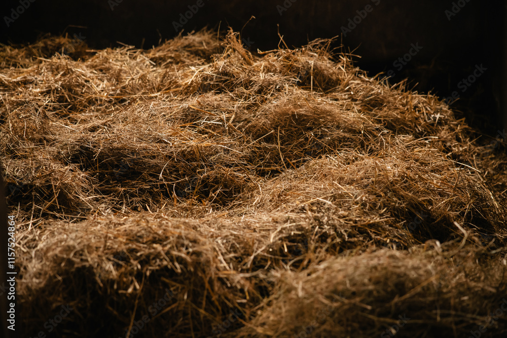 Hay for farm animals Hay for farm animals