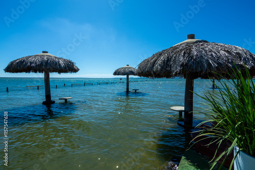 View of Ilha Canela (Cinnamon Island) at Palmas - Tocantins, Brazil photo