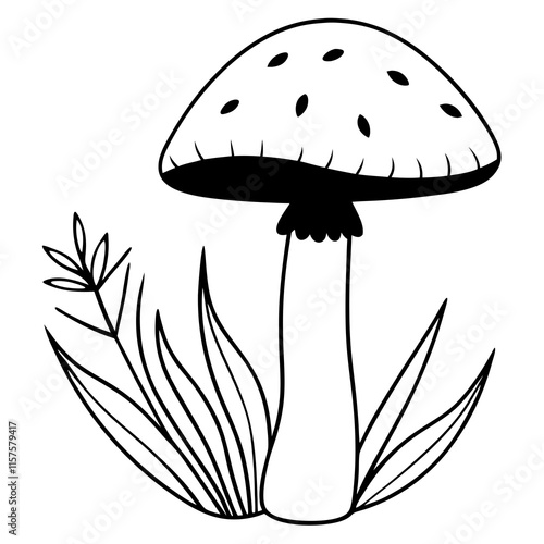 mushroom illustration