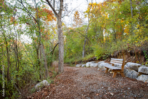 An empty bench sits next to a trail at a scenic spot during an early October morning in Wisconsin. photo