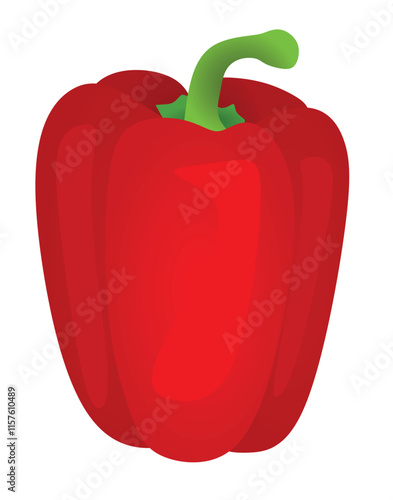 Red bell pepper on white background, vector