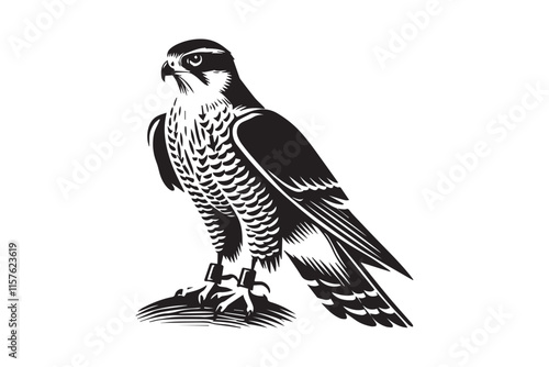 simple black an white goshawk vector silhouette isolated on a white background