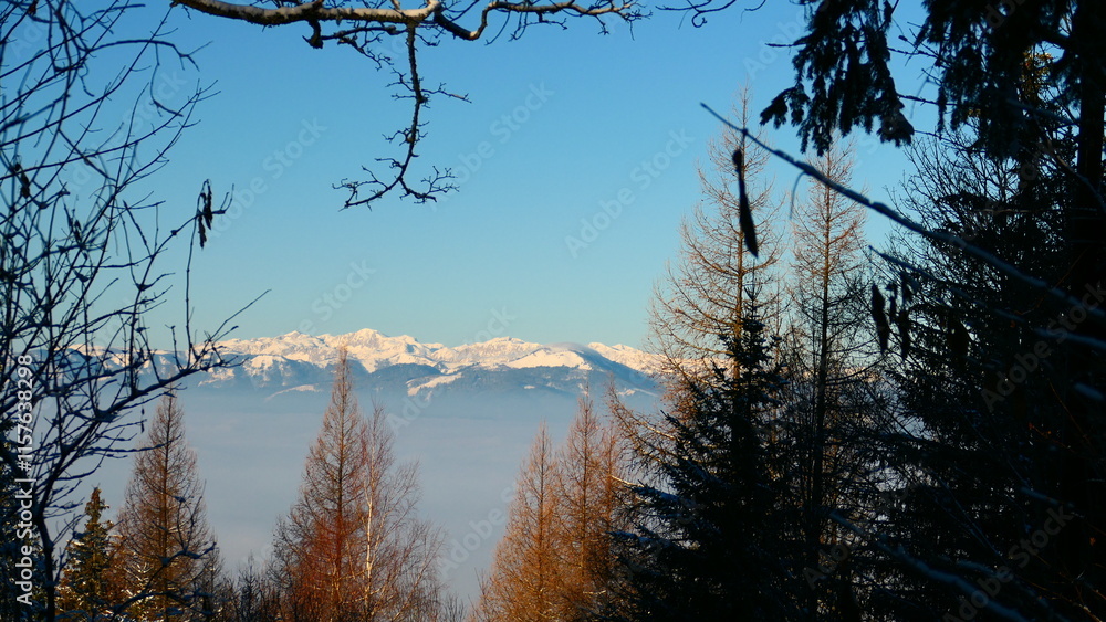 am Bärenkogel mit Blick auf das Schneealpenmassiv am Bärenkogel mit Blick auf das Schneealpenmassiv