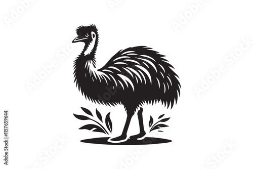 ostrich isolated on white background