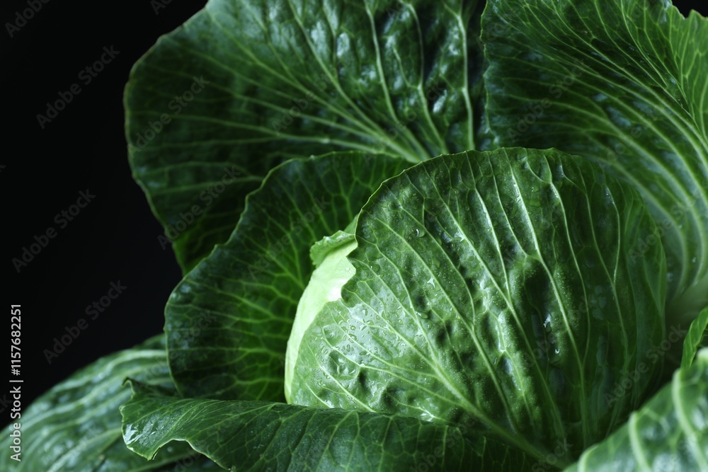 Fototapeta premium Whole ripe head of cabbage on dark background, closeup