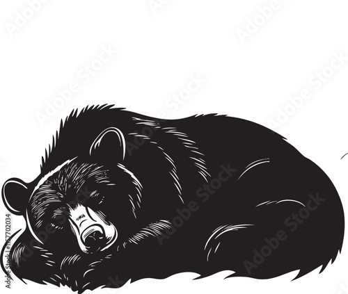 illustration of a bear sleeping