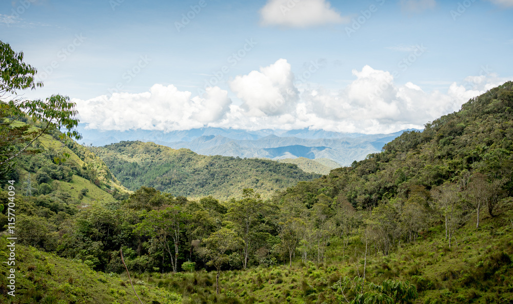 Lush green landscape of Oxapampa, Peruvian Amazon Lush green landscape of Oxapampa, Peruvian Amazon