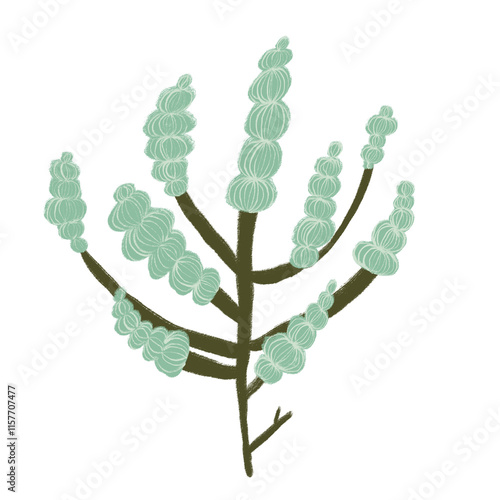 Green floral illustration with delicate abstract designs