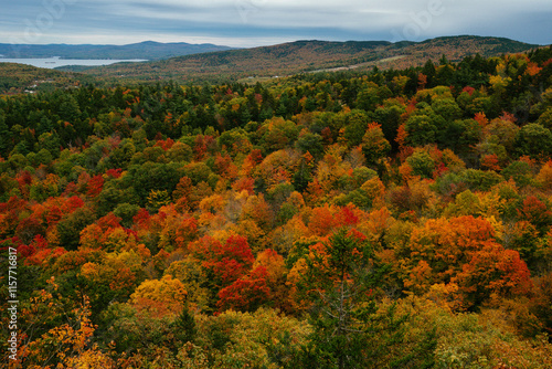 Vibrant autumn hues in White Mountain National Forest of New Hampshire. Colorful fall foliage.
