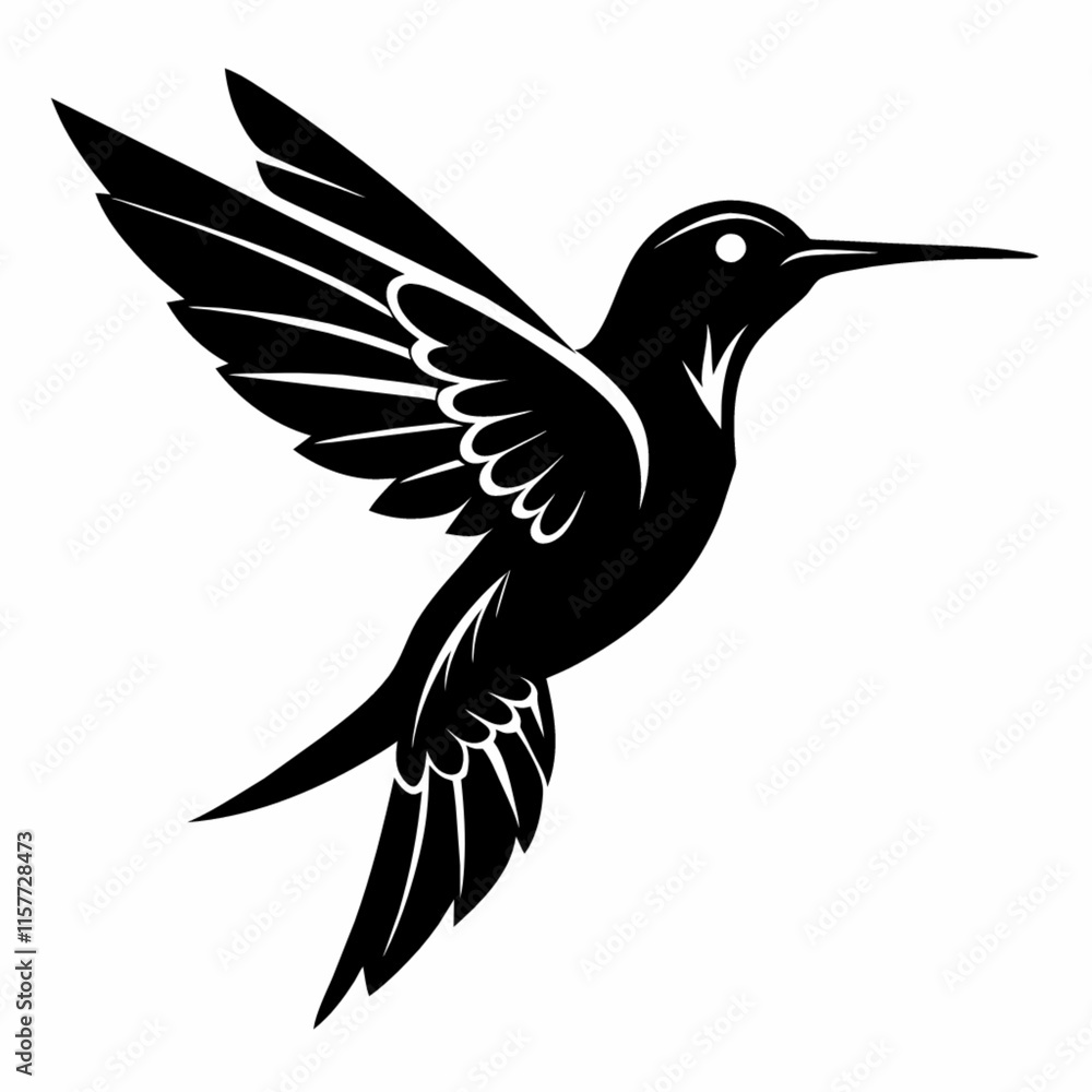 Fototapeta premium black and white hummingbird