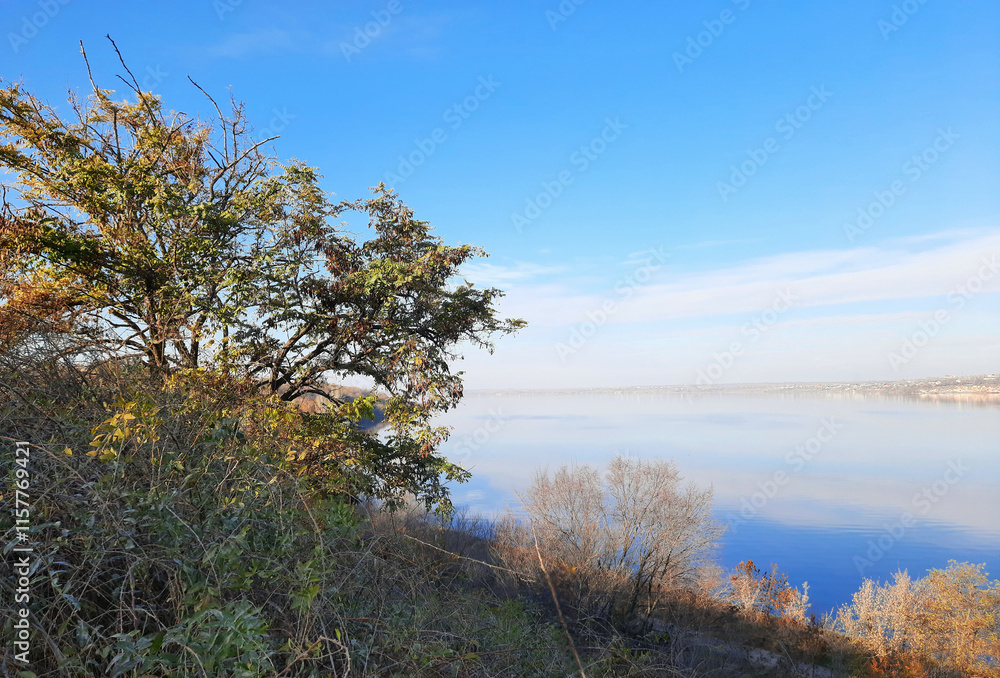 trees on the river and clouds in the sky trees on the river and clouds in the sky