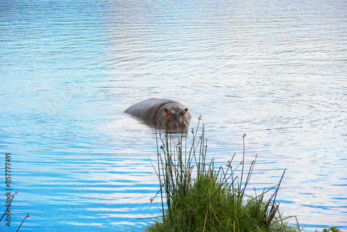 Village in Tanzania, scenic landscpape of Africa.