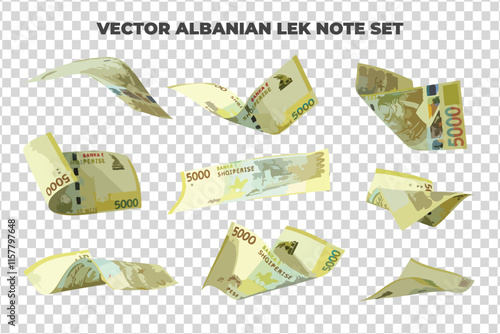 Vector illustration of set of Albanian lek notes flying in different angles and orientations. Currency note design in Scalable eps format
