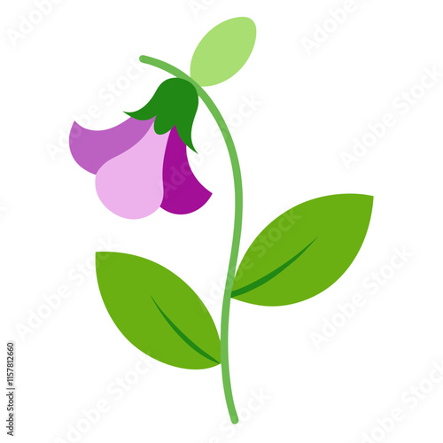 Sweet Pea Flower Elegant Floral Illustrations for Creative Projects