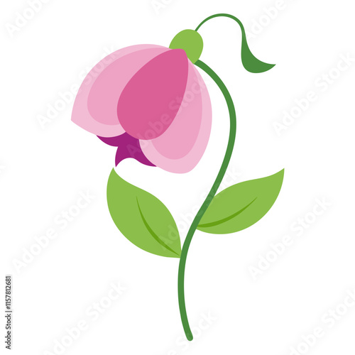 Sweet Pea Flower Elegant Floral Illustrations for Creative Projects