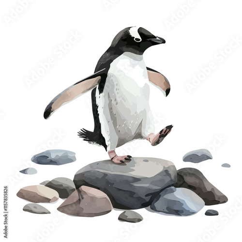 A watercolor drawing of an Adelie penguin hopping between rocks, isolated on a white background. Adelie penguin vector.
