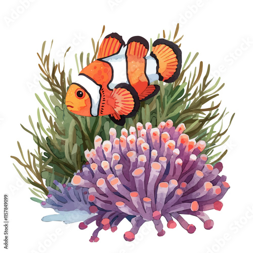 A watercolor vector of a clownfish in a coral reef, isolated on a white background. Clownfish vector.
