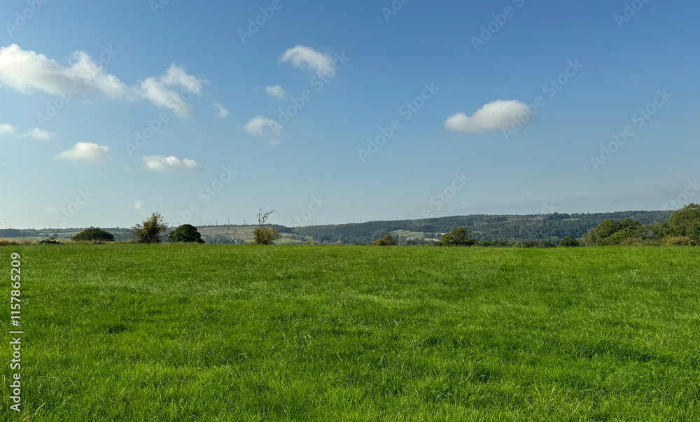 A vast, lush green field stretches under a clear blue sky dotted with clouds. In the distance, rolling hills and trees line the horizon, creating a serene and expansive landscape in, Wilsden, UK A vast, lush green field stretches under a clear blue sky dotted with clouds. In the distance, rolling hills and trees line the horizon, creating a serene and expansive landscape in, Wilsden, UK