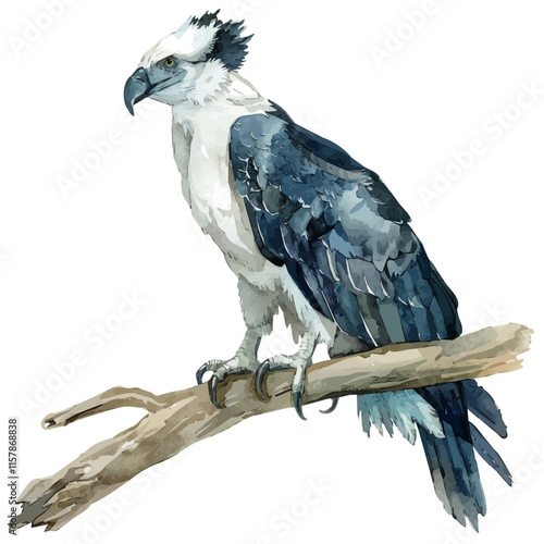 A watercolor vector of a harpy eagle perched on a branch, isolated on a white background. Harpy eagle vector.
