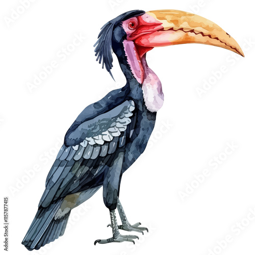 A watercolor vector of a hornbill with a bright beak, isolated on a white background. Hornbill vector.
