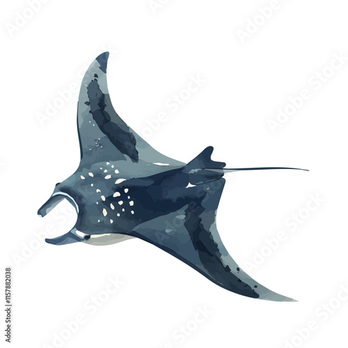 A watercolor vector of a manta ray gliding near the surface, isolated on a white background. Manta ray vector.
