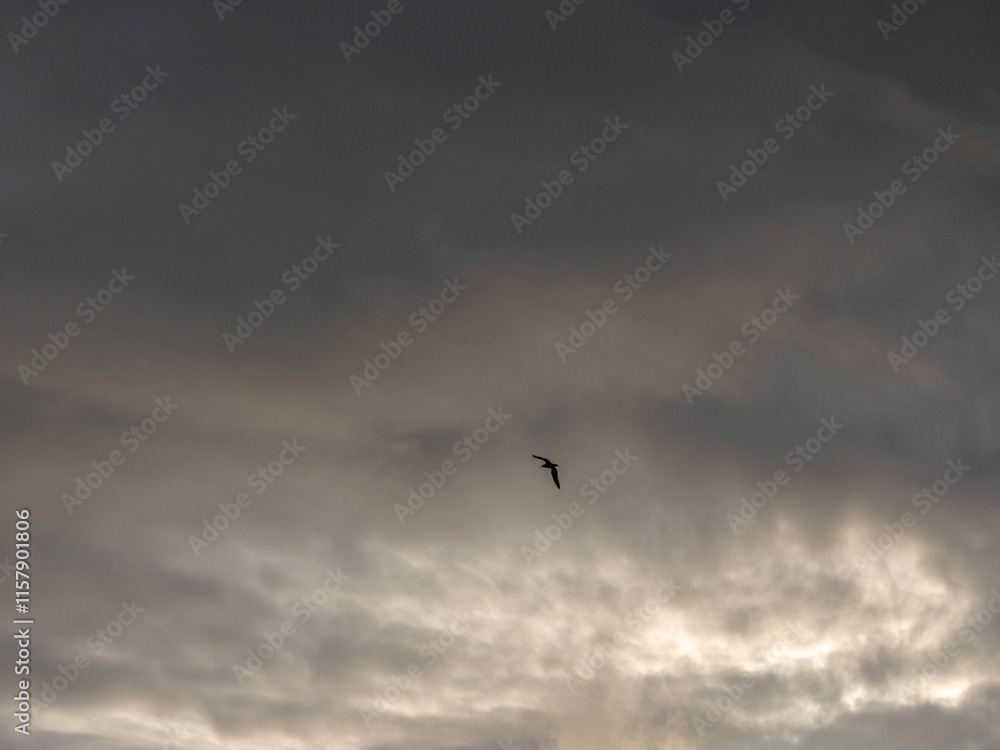 The sky is filled with fluffy clouds, and the sun is peeking through them, creating a beautiful and calming scene. The clouds are scattered throughout the sky, with some closer to the horizon The sky is filled with fluffy clouds, and the sun is peeking through them, creating a beautiful and calming scene. The clouds are scattered throughout the sky, with some closer to the horizon