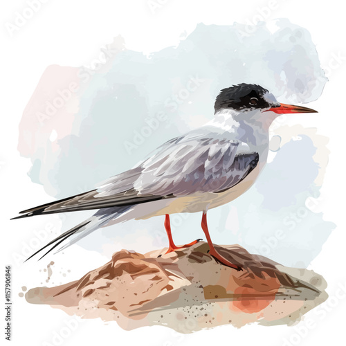 A watercolor drawing of a tern nestling on a sandy beach, isolated on a white background. Tern vector.
