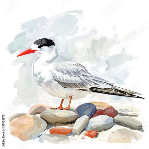 A watercolor drawing of a tern nestling on a sandy beach, isolated on a white background. Tern vector.
