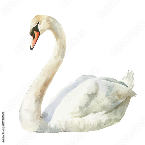 A watercolor of a swan gracefully stretching its neck, isolated on a white background. Swan vector.
