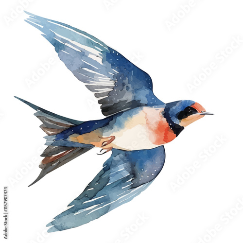 A watercolor painting of a swallow gliding over a river, isolated on a white background. Swallow vector.
