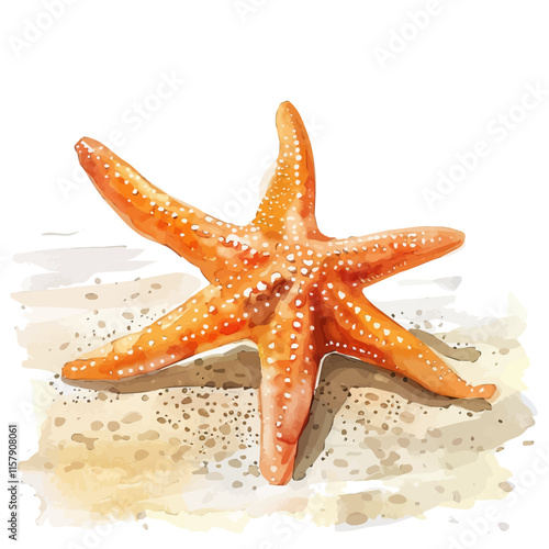 A watercolor vector of a starfish resting on the ocean floor, isolated on a white background. Starfish vector.
