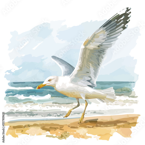 A watercolor drawing of a seagull landing on a sandy beach, isolated on a white background. Seagull vector.
