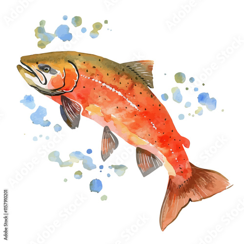 A watercolor drawing of a salmon swimming upstream, isolated on a white background. Salmon vector.
