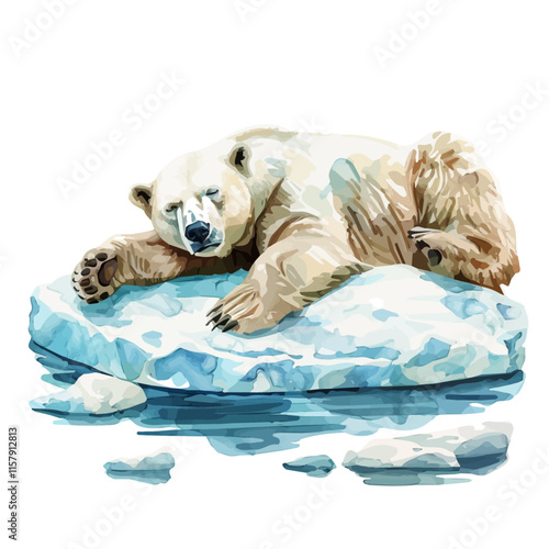 A watercolor vector painting of a polar bear lounging on an ice floe, isolated on a white background. Polar bear vector.

