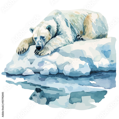 A watercolor vector painting of a polar bear lounging on an ice floe, isolated on a white background. Polar bear vector.


