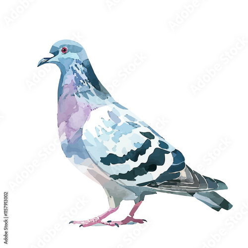 A watercolor vector painting of a pigeon flying over a city, isolated on a white background. Pigeon vector.

