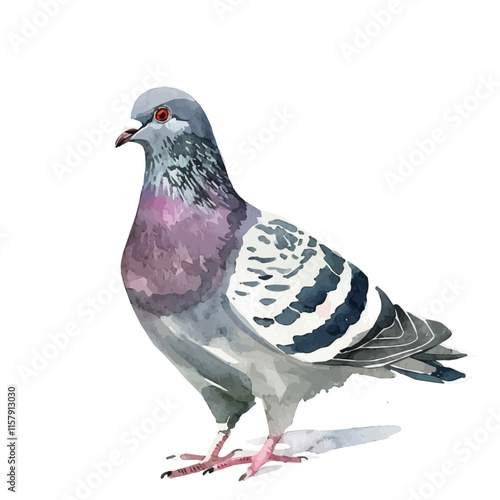 A watercolor vector painting of a pigeon flying over a city, isolated on a white background. Pigeon vector.

