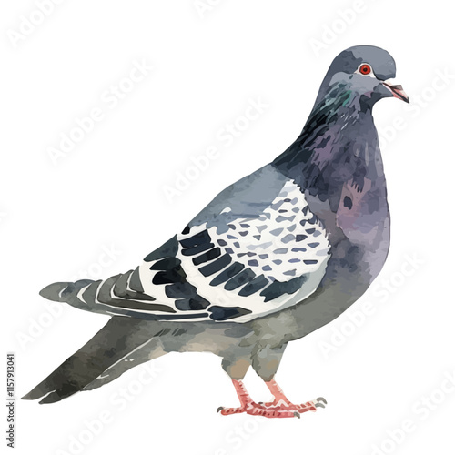 A watercolor vector painting of a pigeon flying over a city, isolated on a white background. Pigeon vector.

