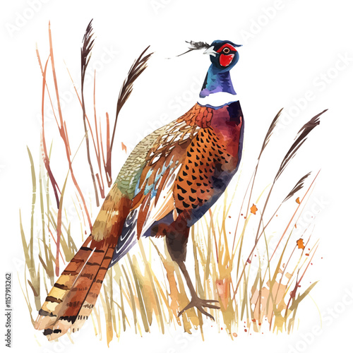A stunning illustration of a pheasant hiding in autumn leaves, showcasing its vibrant colors amidst the fall foliage.

